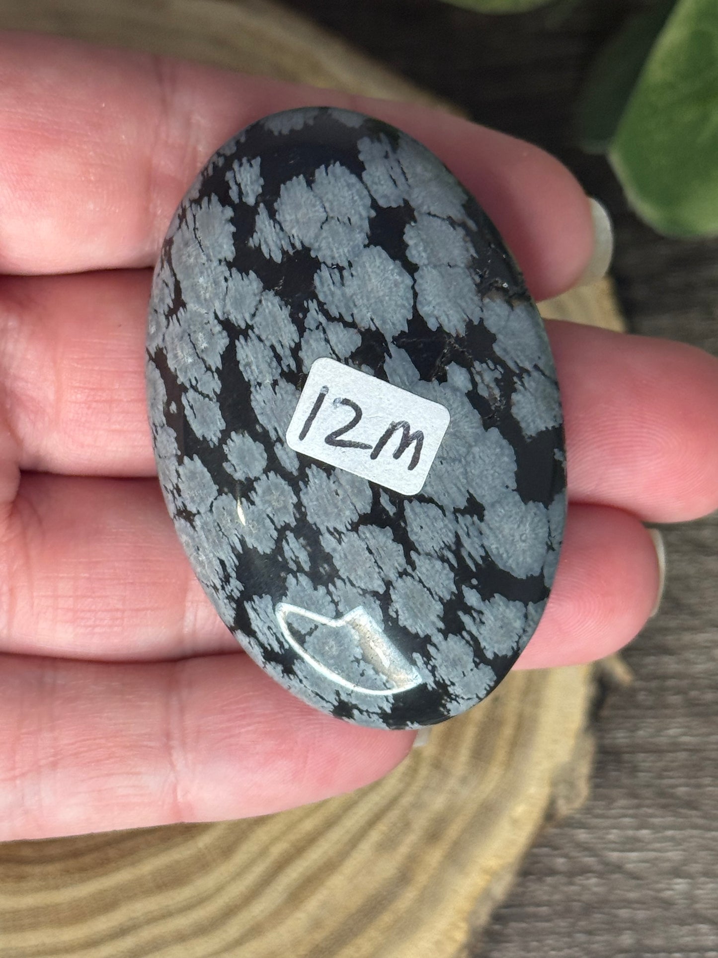 Snowflake Obsidian Palm Stones