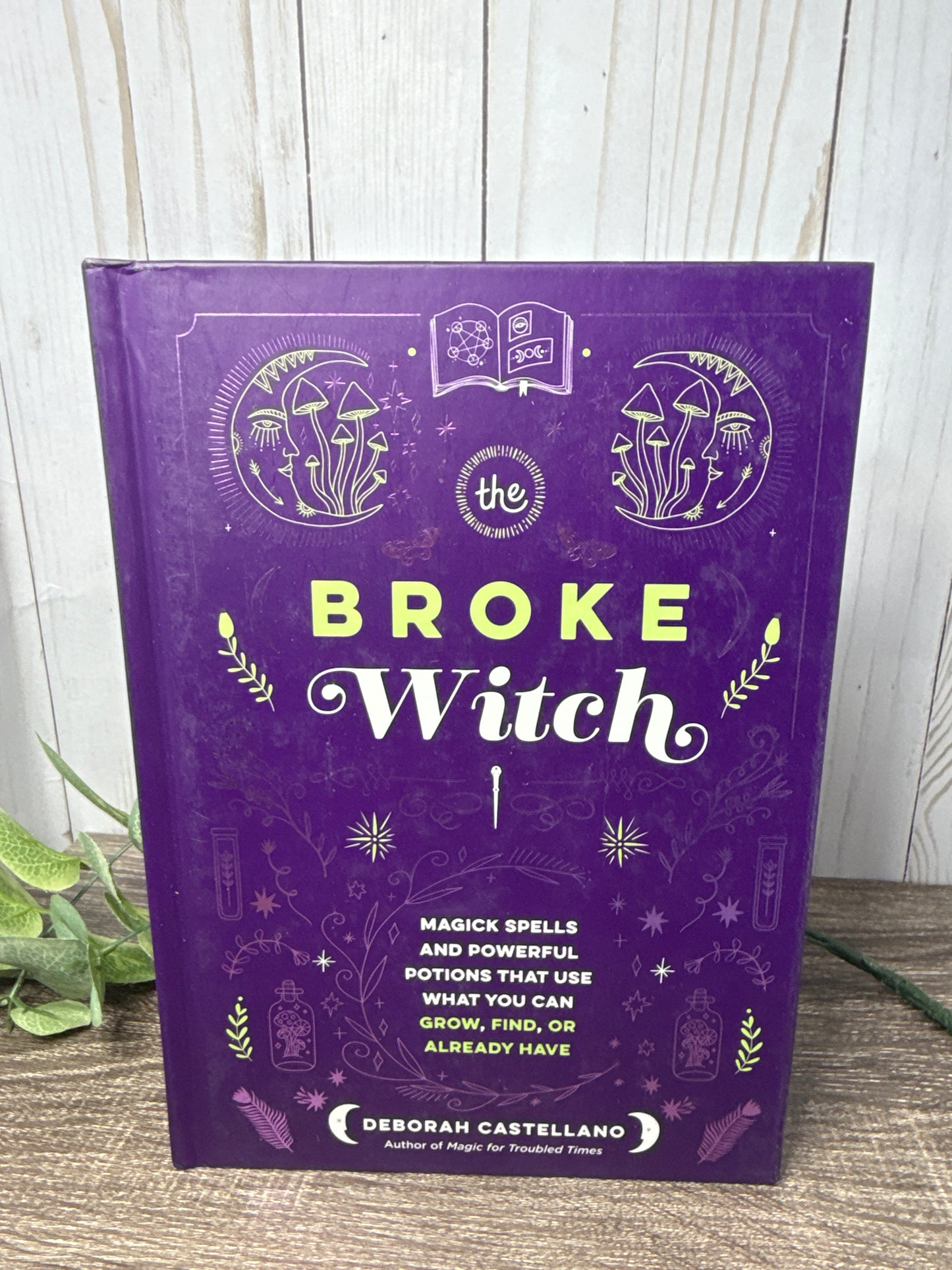 The Broke Witch: Magick Spells and Powerful Potions that you can grow, find, or already have