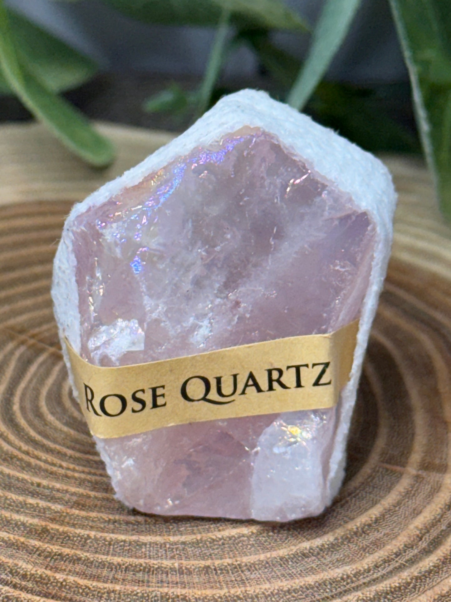 Aura Coated Raw Specimens