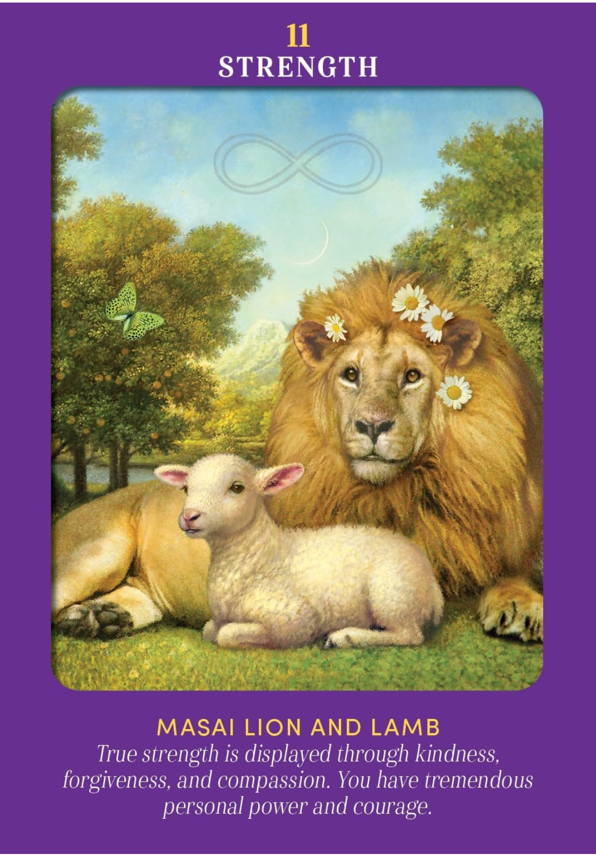Animal Guides Tarot - 78 cards and guidebook