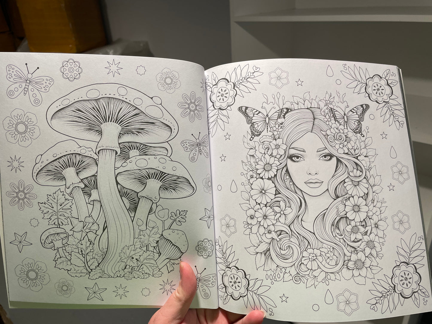 Witch and Fairy Adult Colouring Book