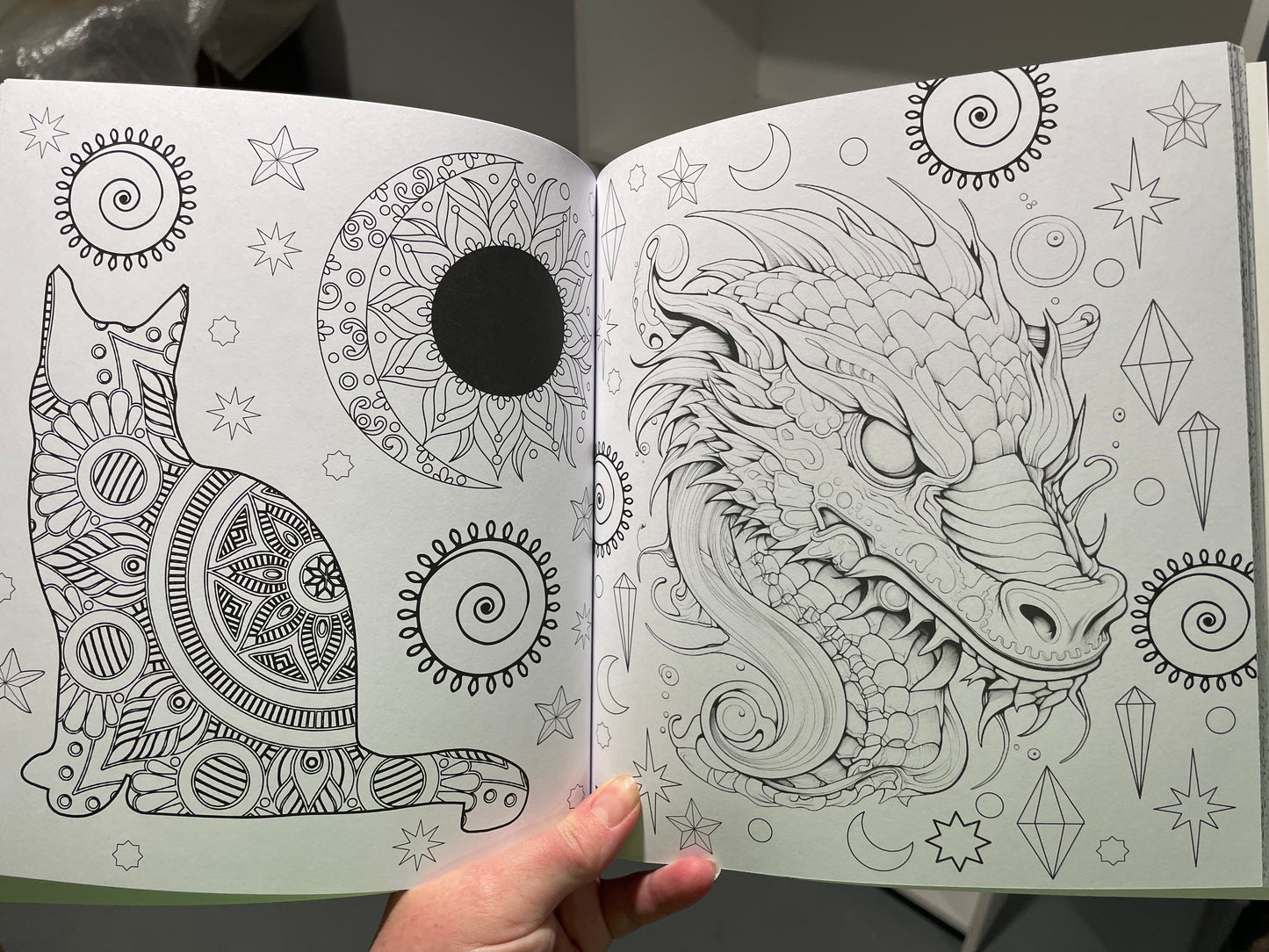Witch and Fairy Adult Colouring Book