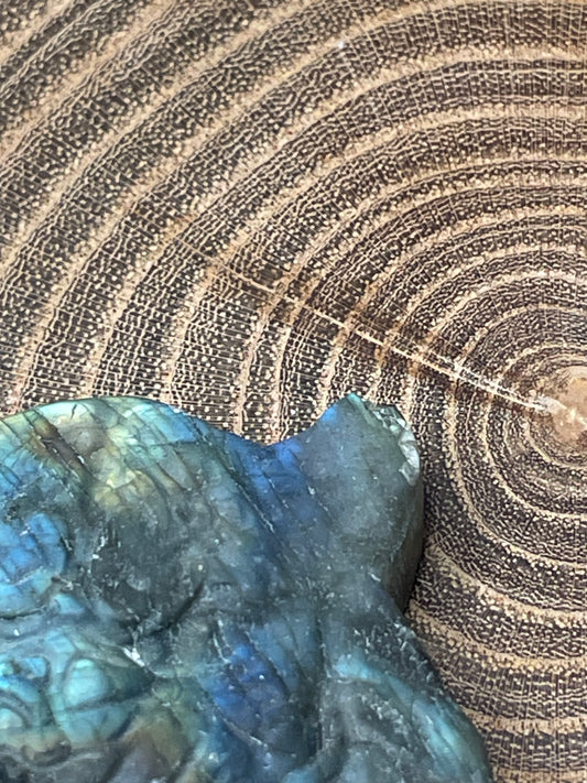 MISFIT Labadorite Tiger Carving