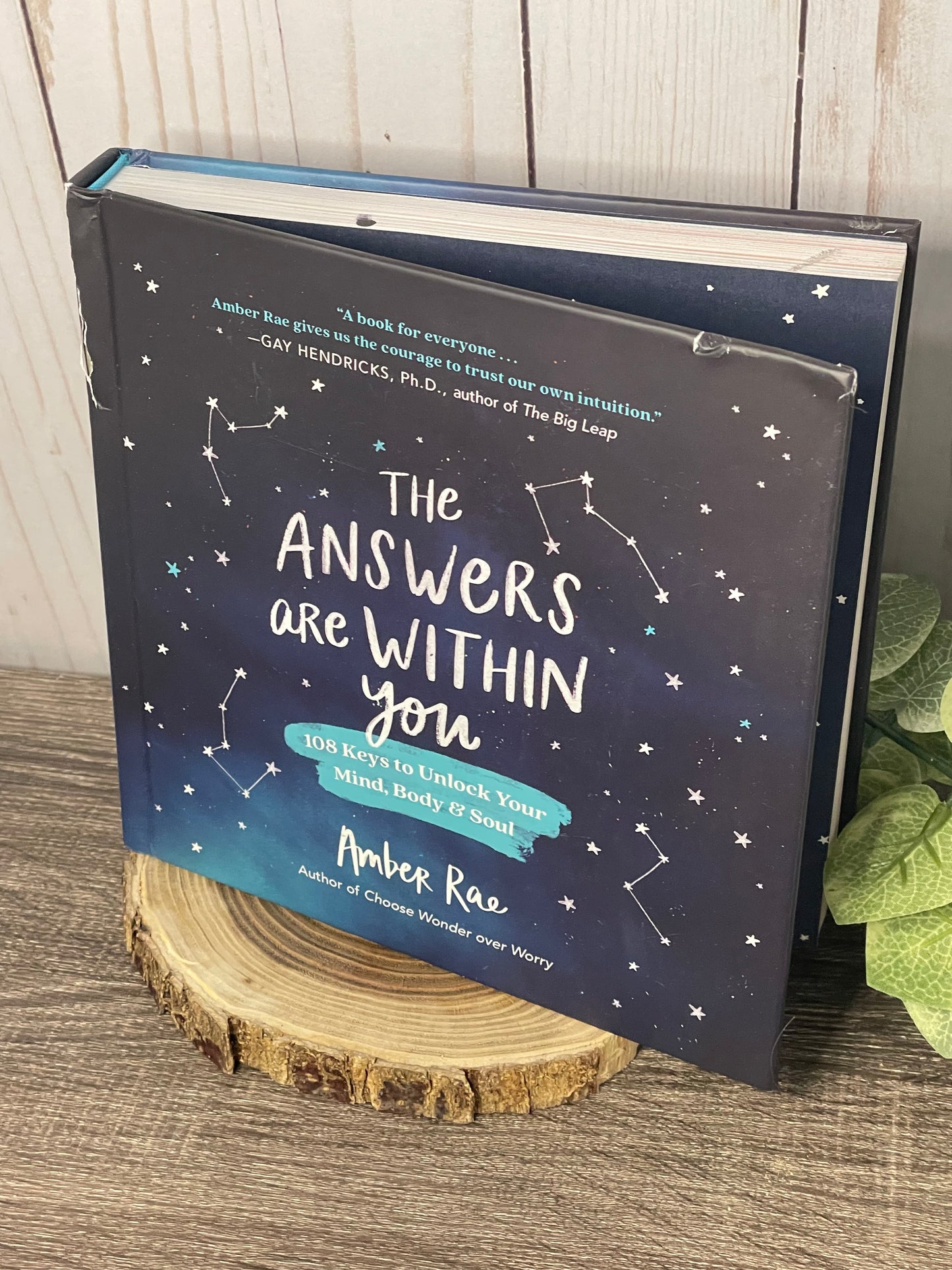 DAMAGED The Answers Are Within You: 108 Keys to Unlock Your Mind, Body & S...
