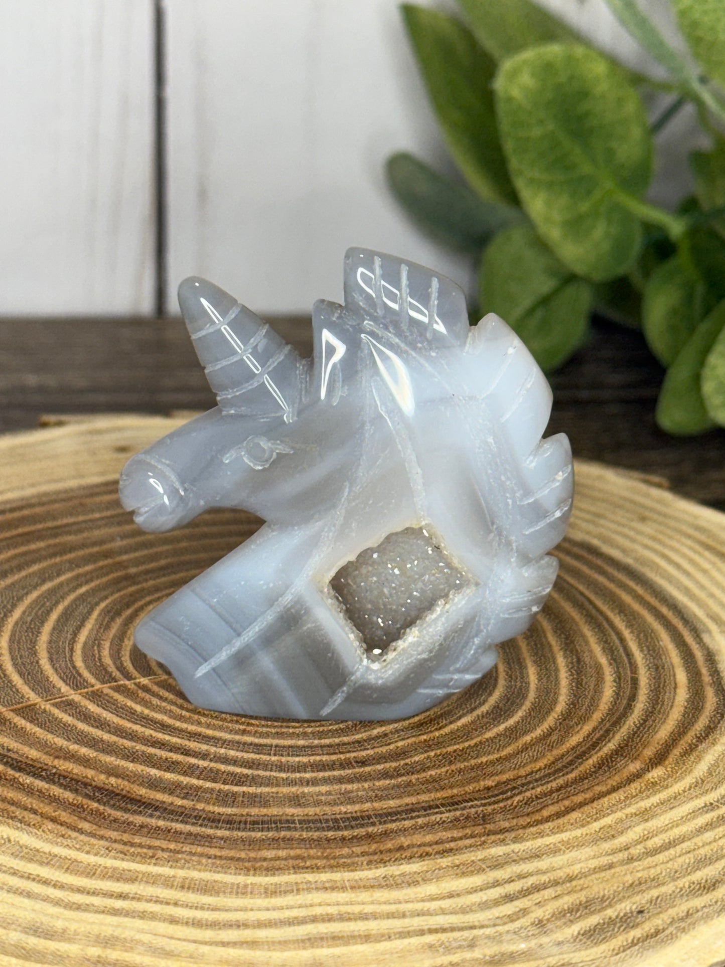 Unicorn Heads - Druzy Agate