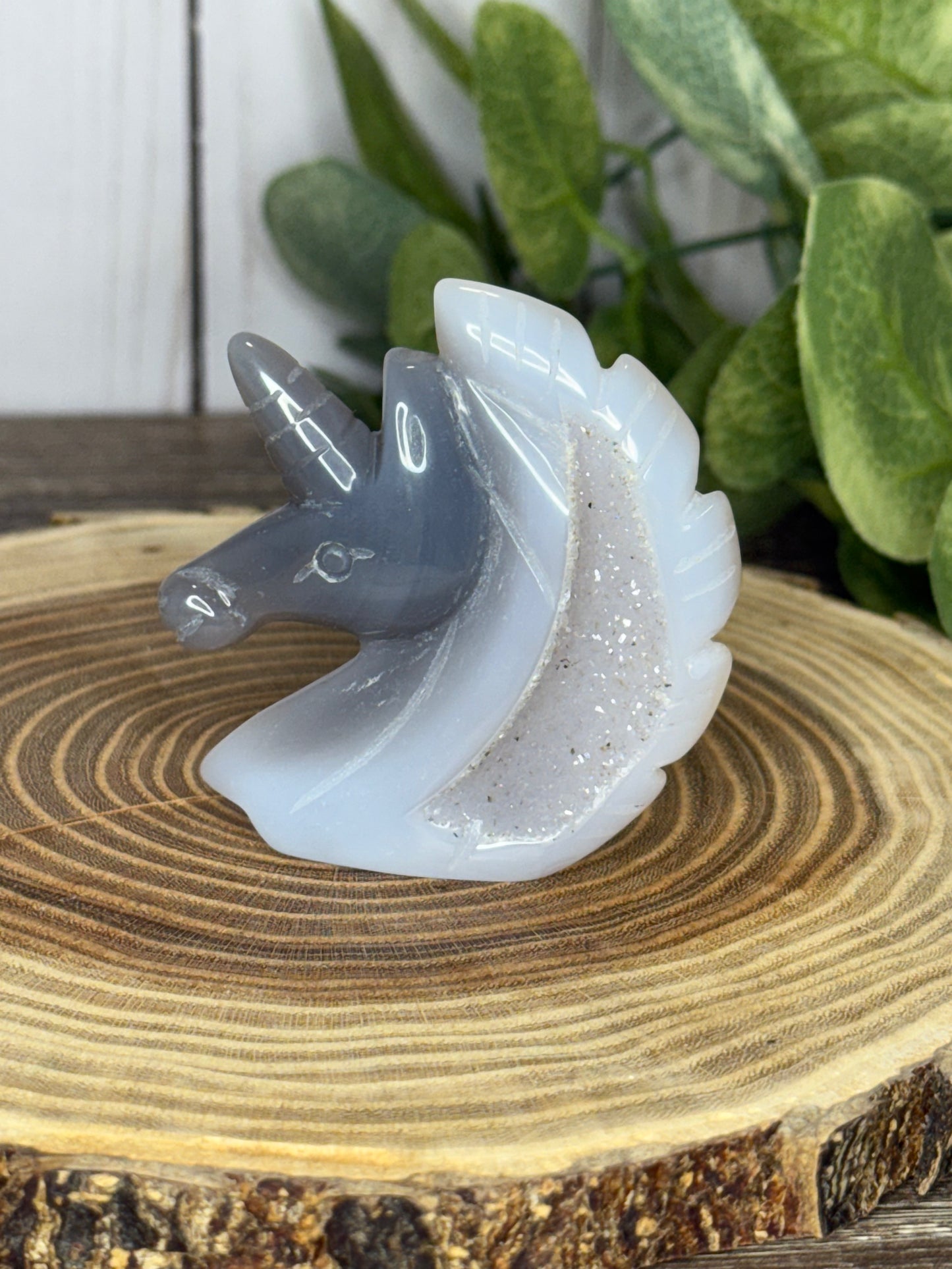 Unicorn Heads - Druzy Agate