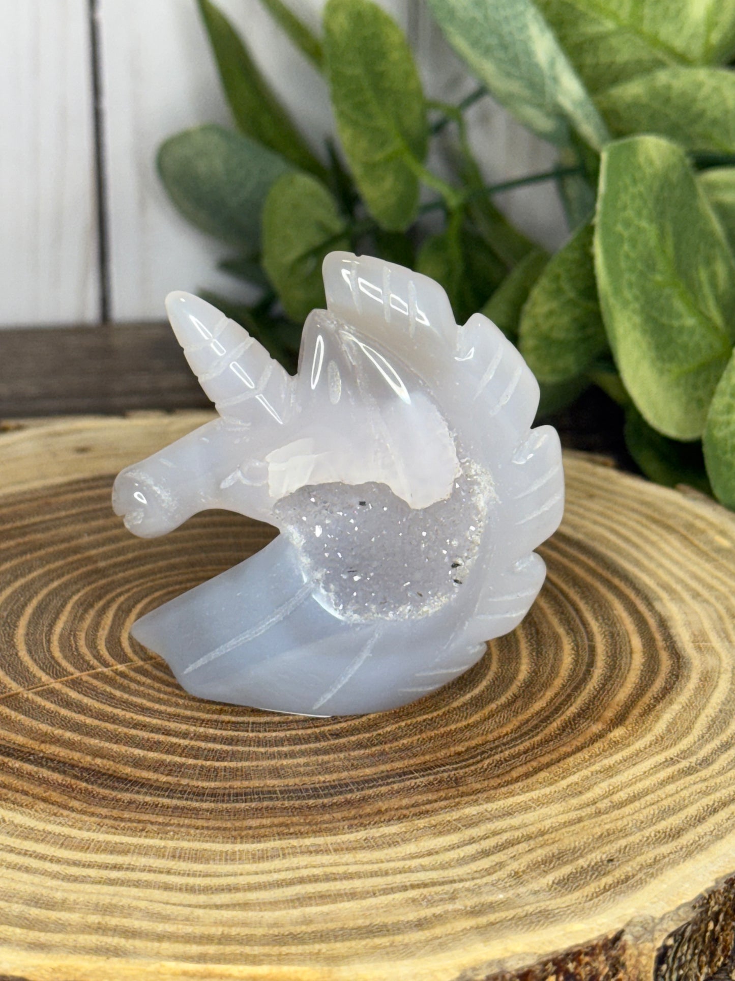 Unicorn Heads - Druzy Agate