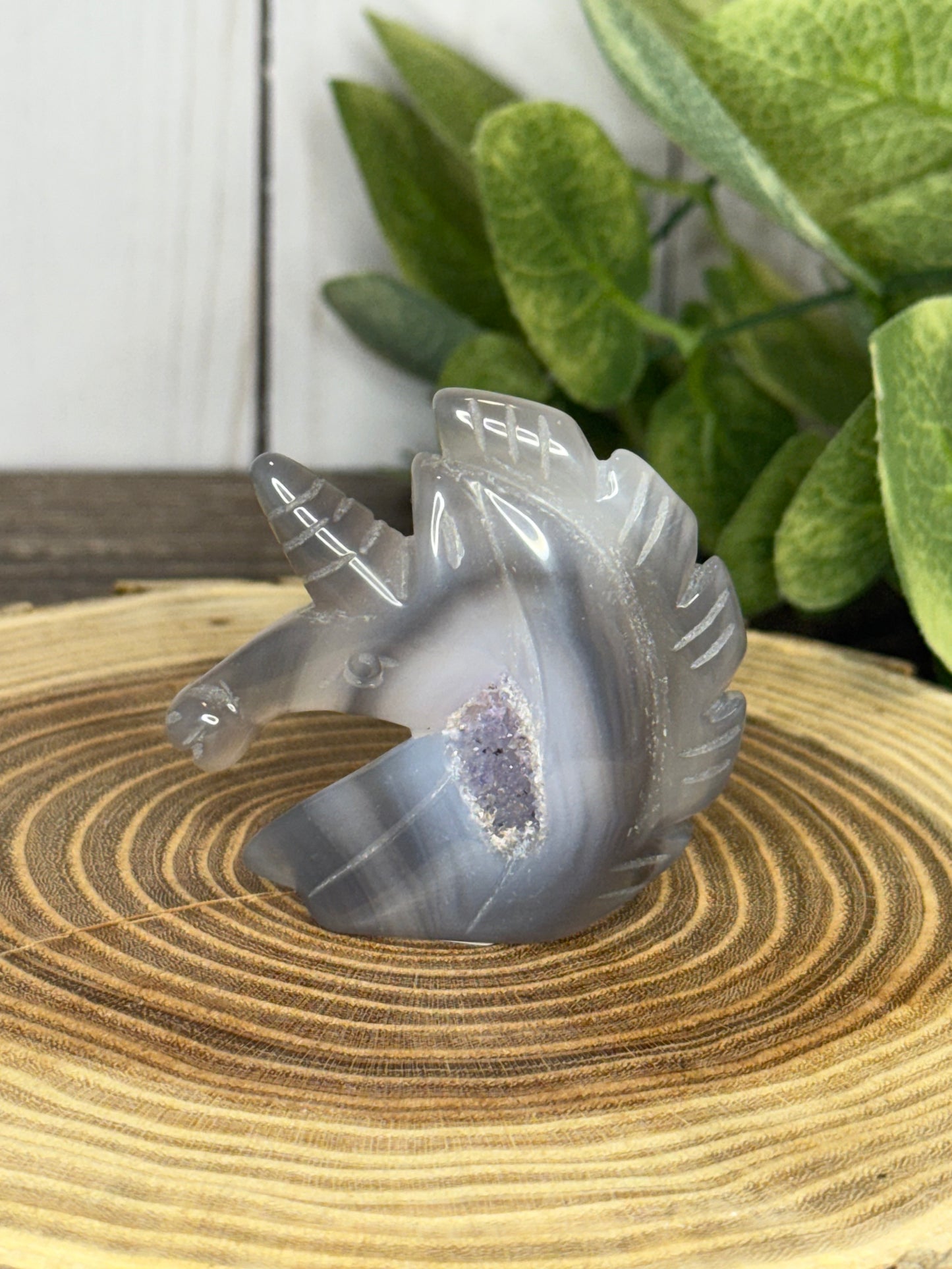 Unicorn Heads - Druzy Agate