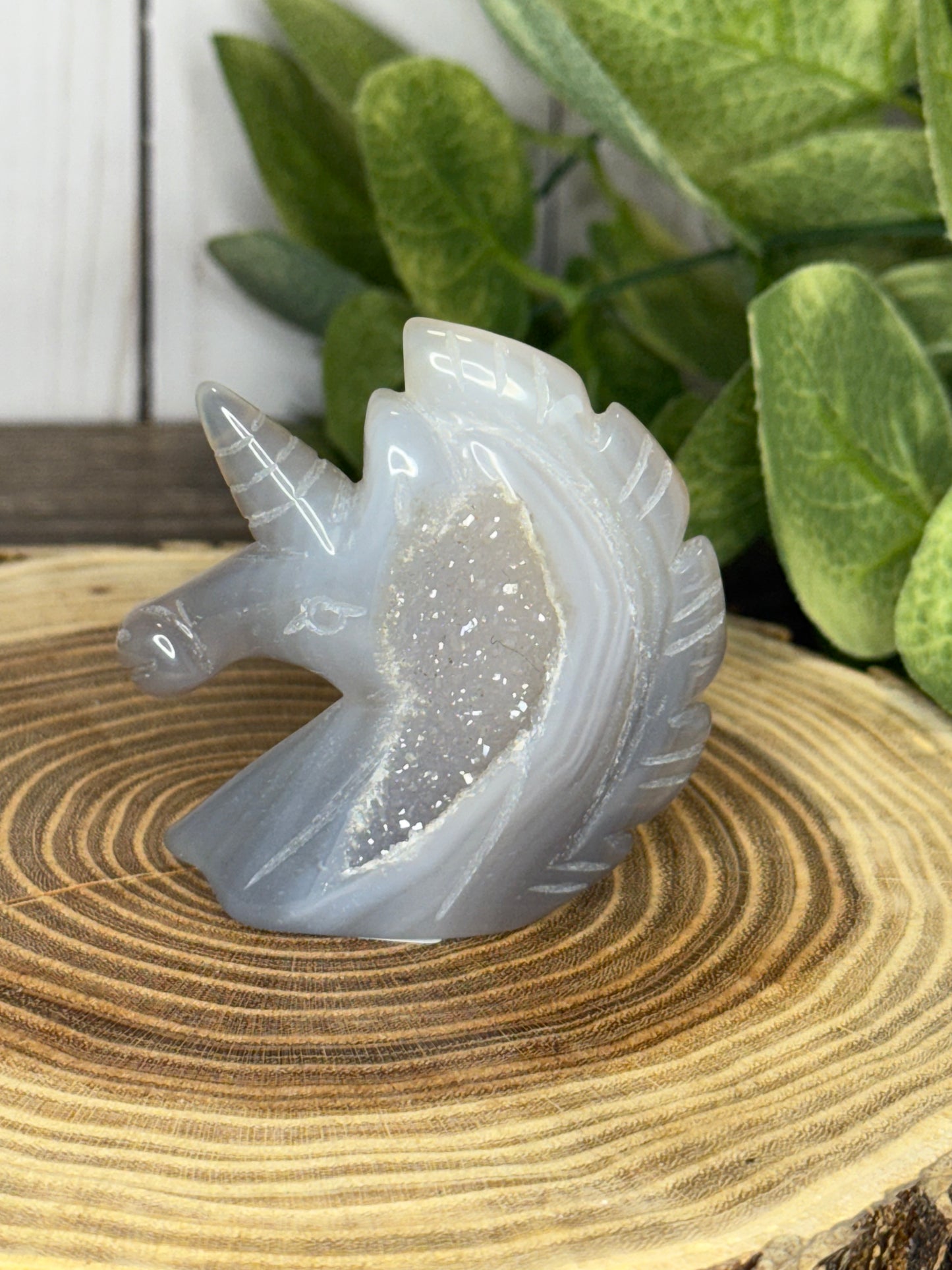 Unicorn Heads - Druzy Agate