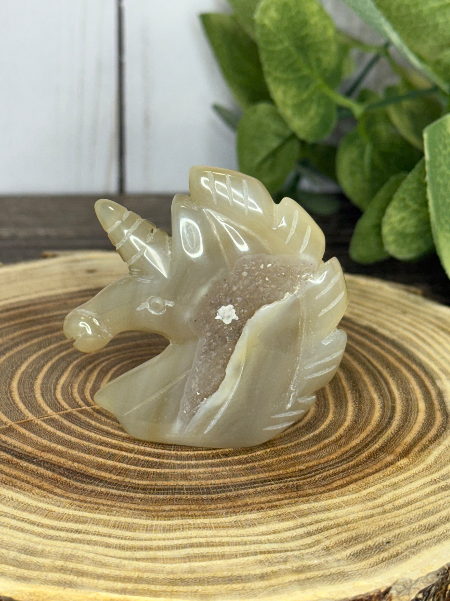 Unicorn Heads - Druzy Agate