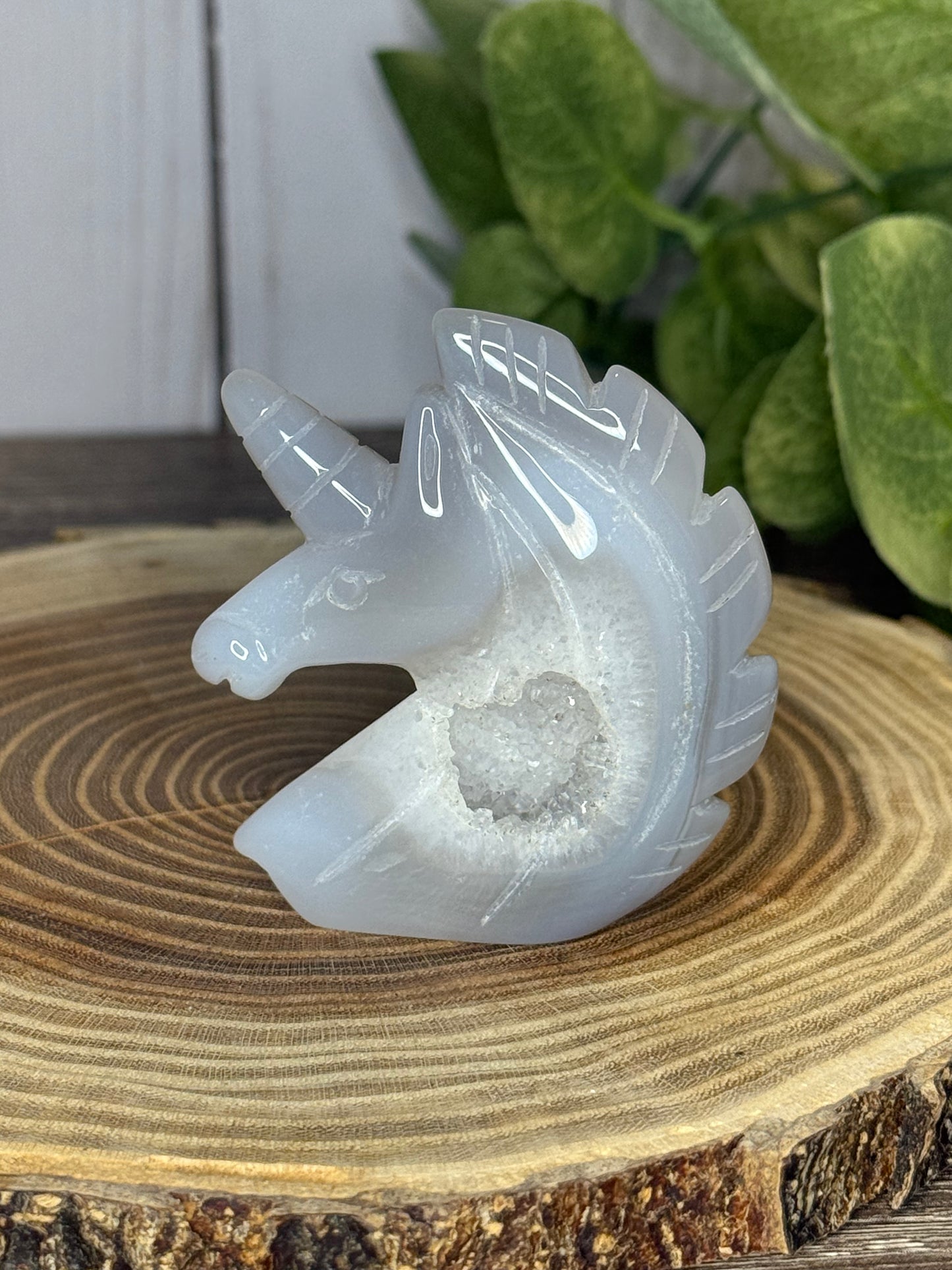 Unicorn Heads - Druzy Agate
