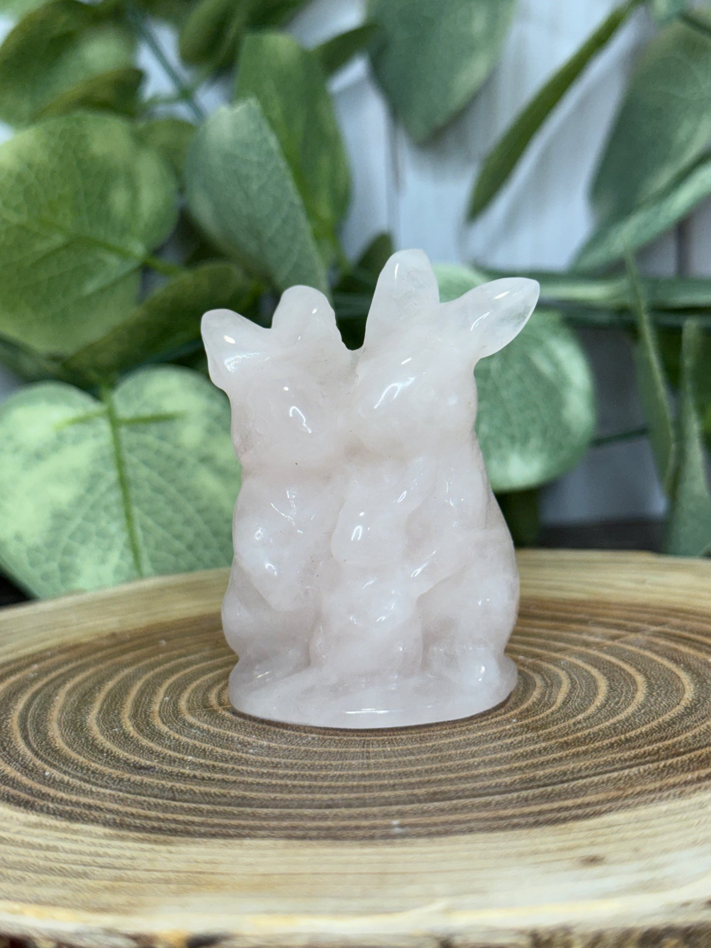 Rabbit Family Carvings