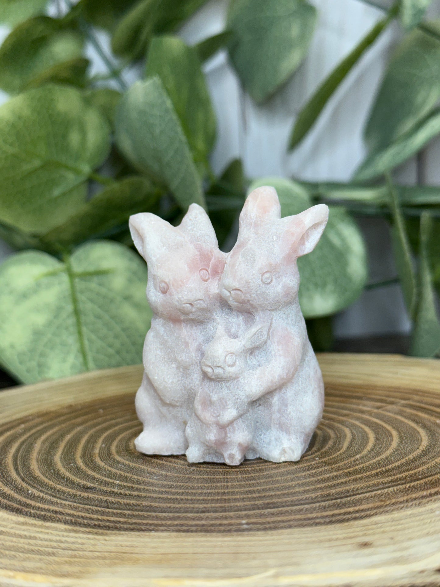 Rabbit Family Carvings