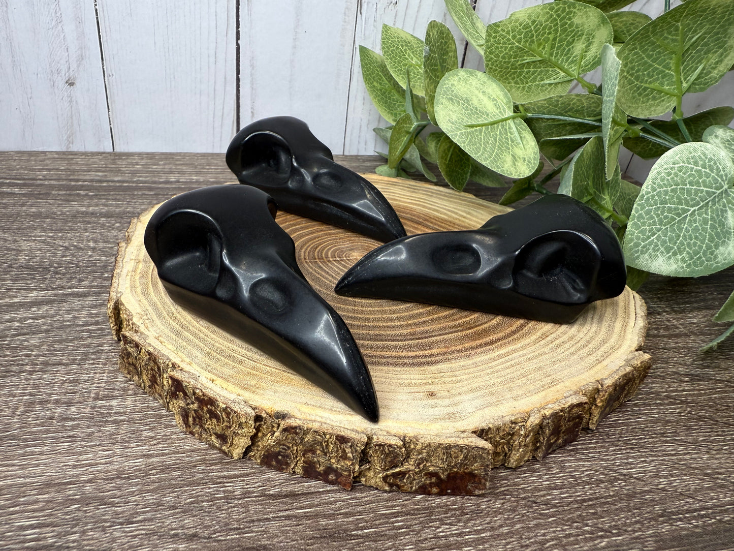 Obsidian Bird Skulls