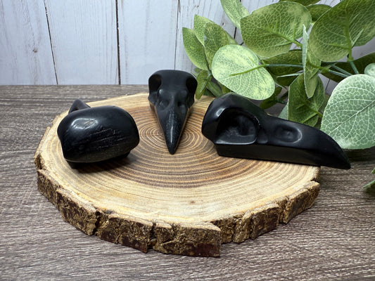 Obsidian Bird Skulls