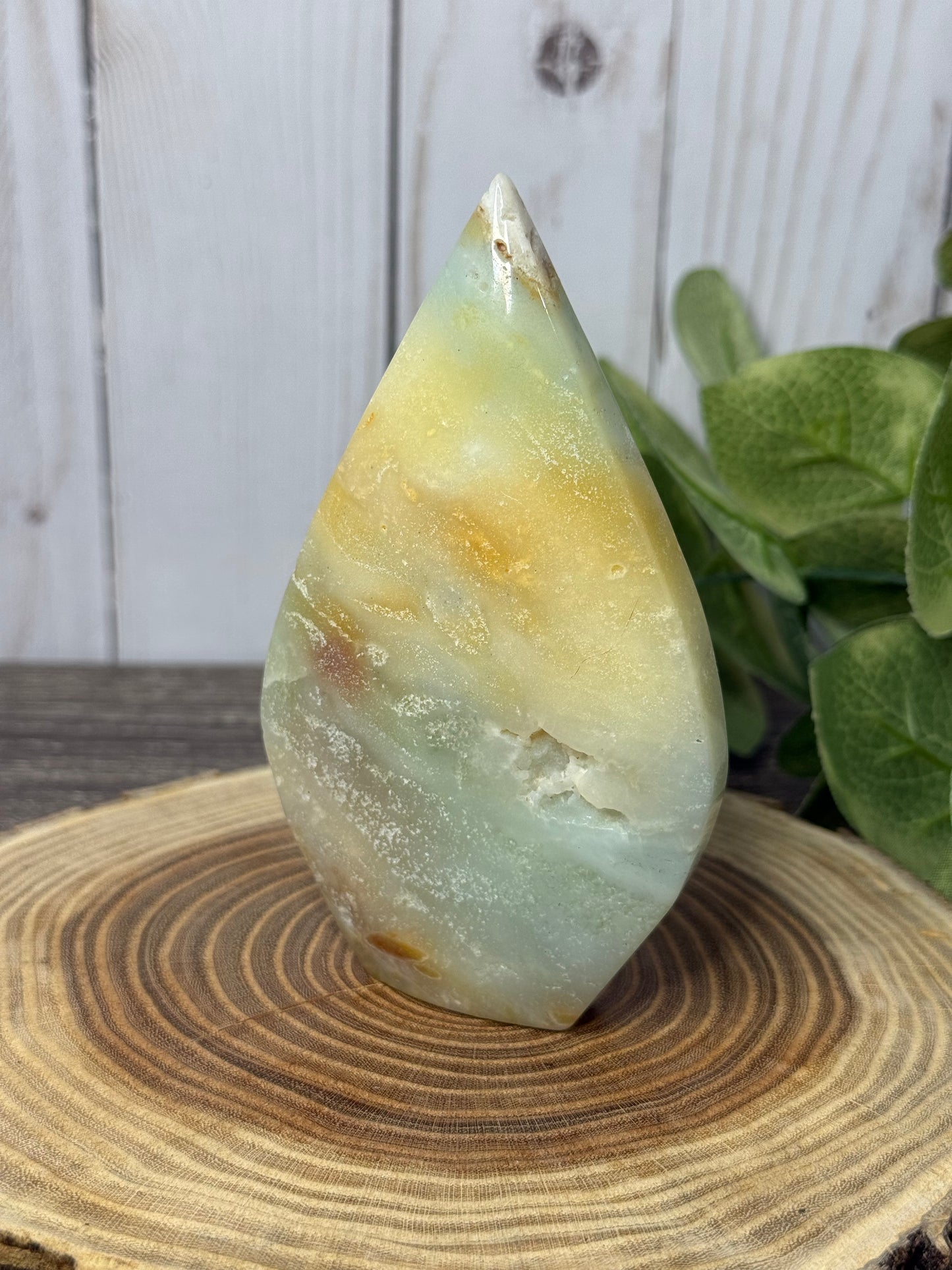Caribbean Calcite Freeforms
