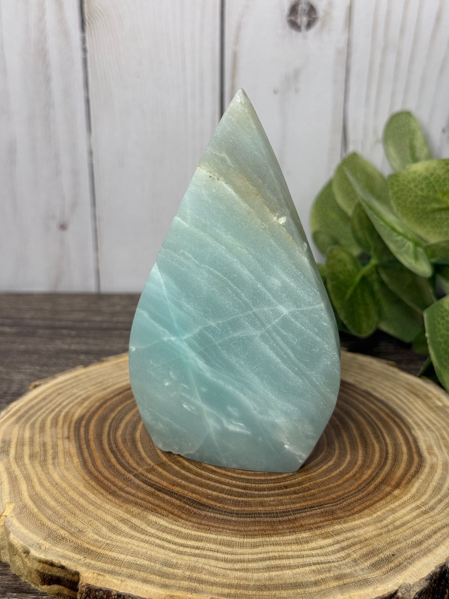 Caribbean Calcite Freeforms