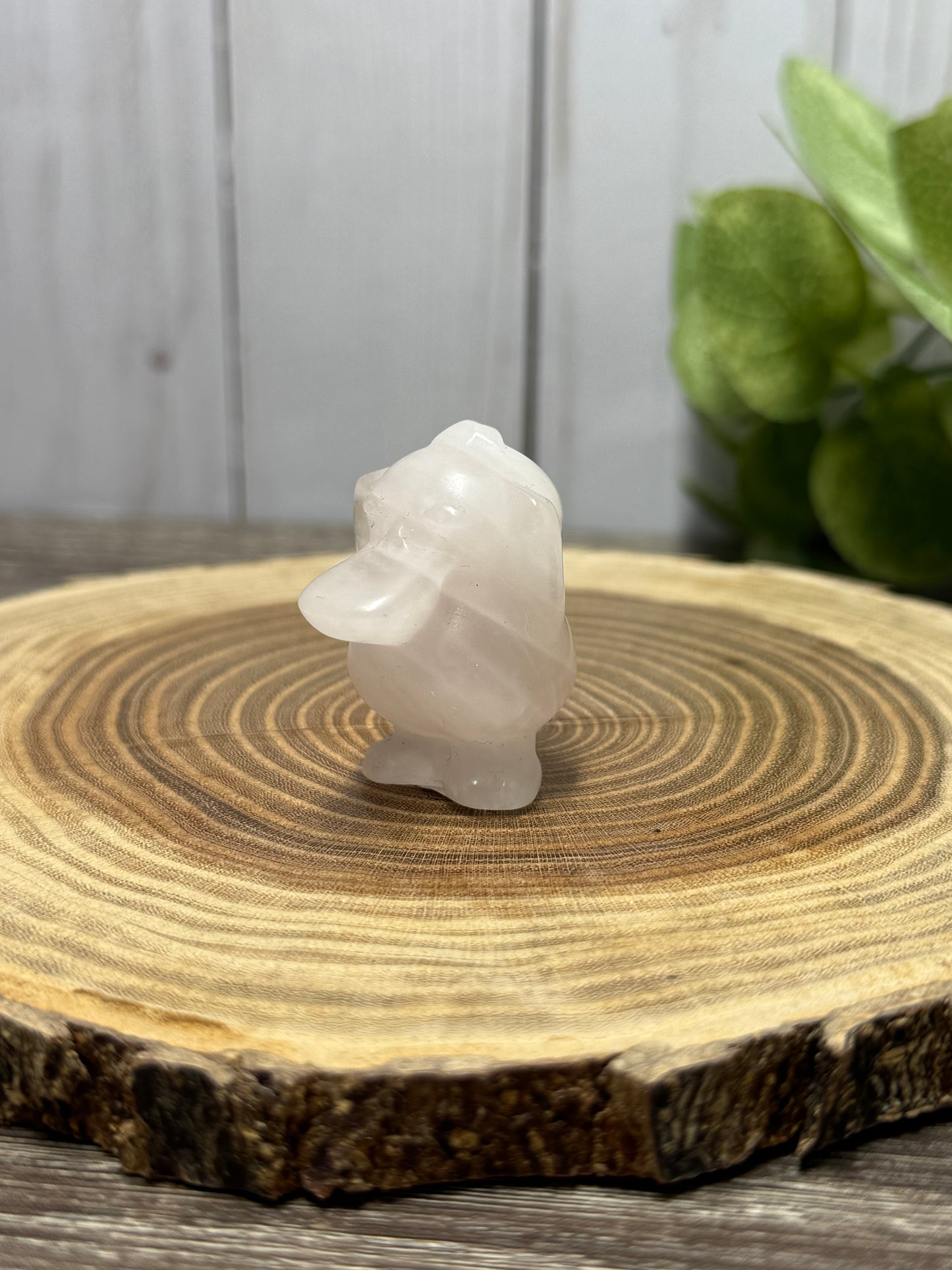 Psyduck Carving - Pokemon