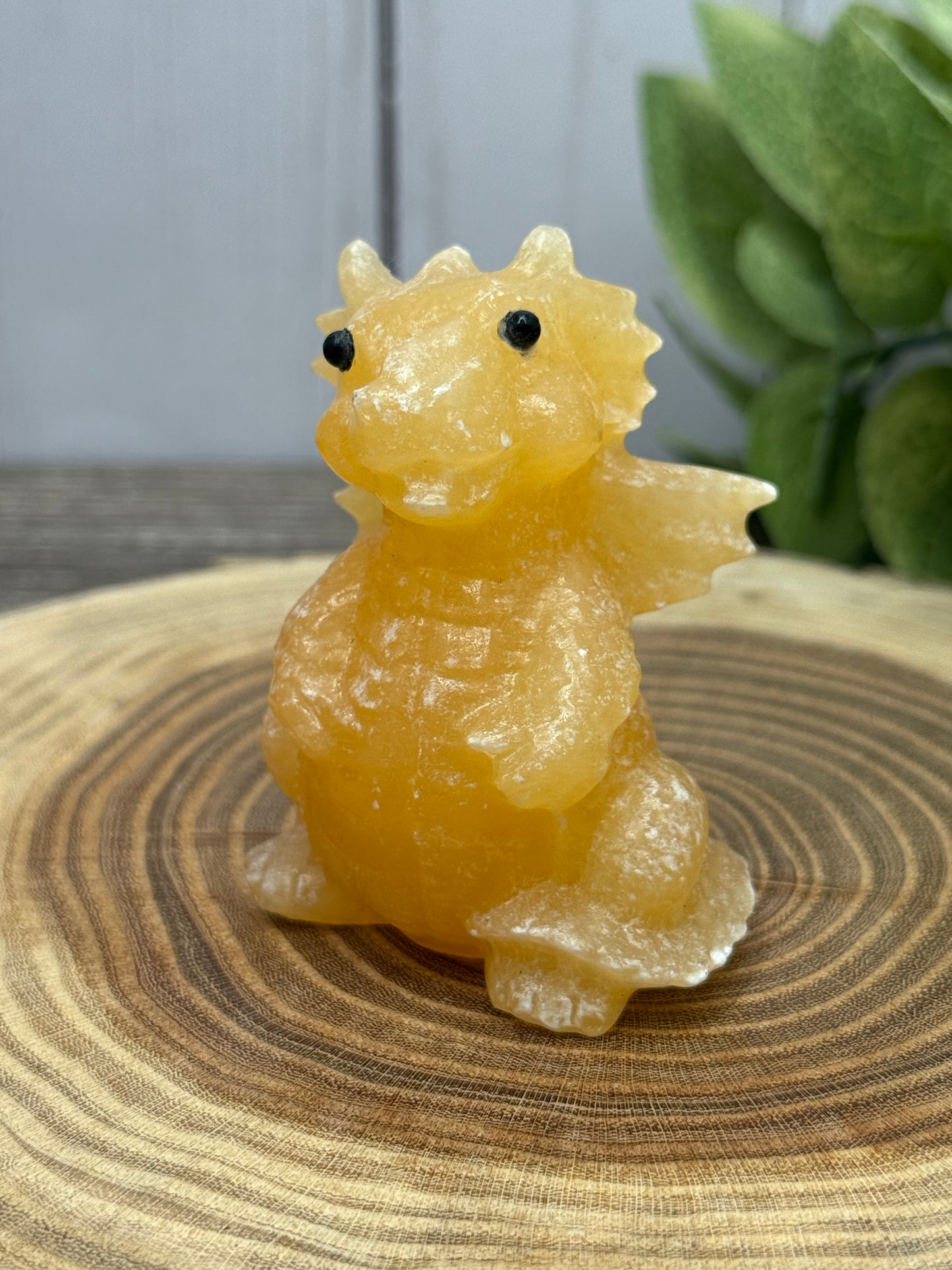 Baby Dragon - Small