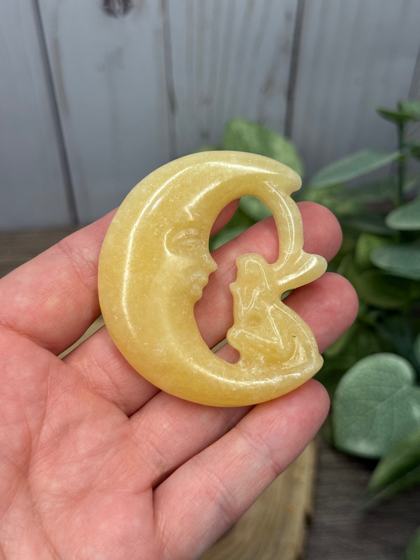 Fairy and Moon Carvings