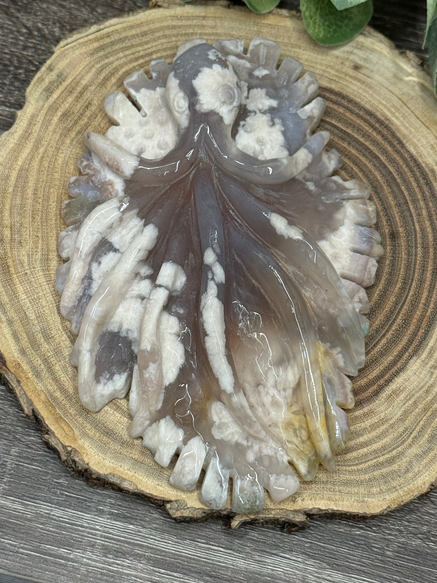 Flower Agate Octapus
