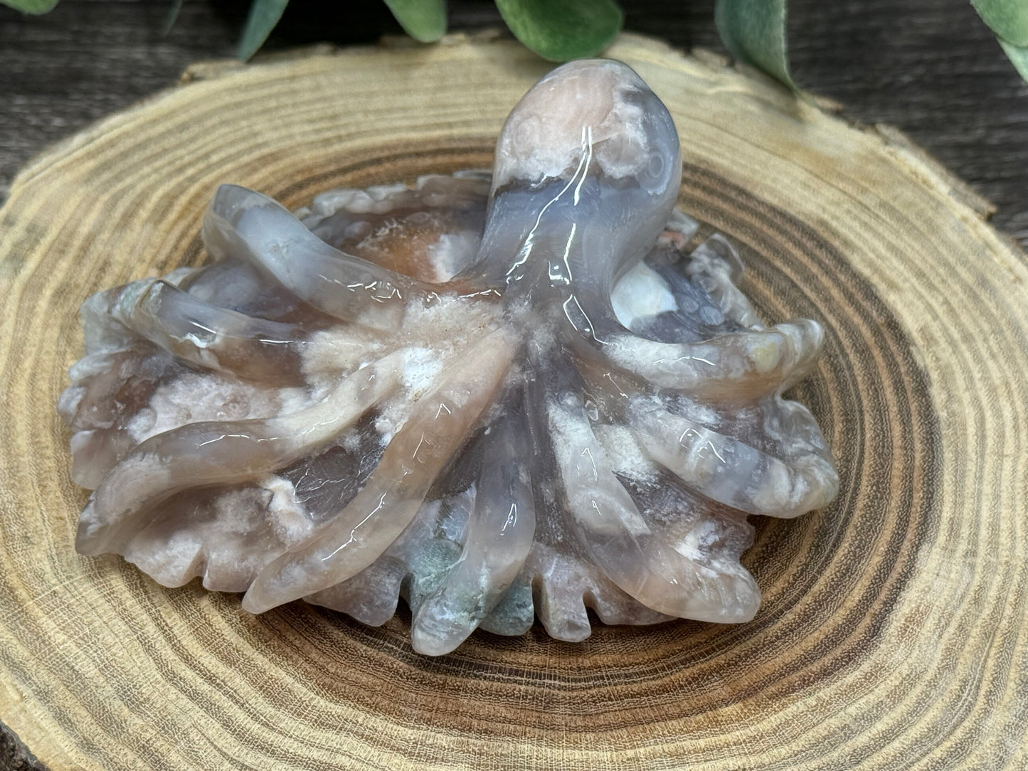 Flower Agate Octapus