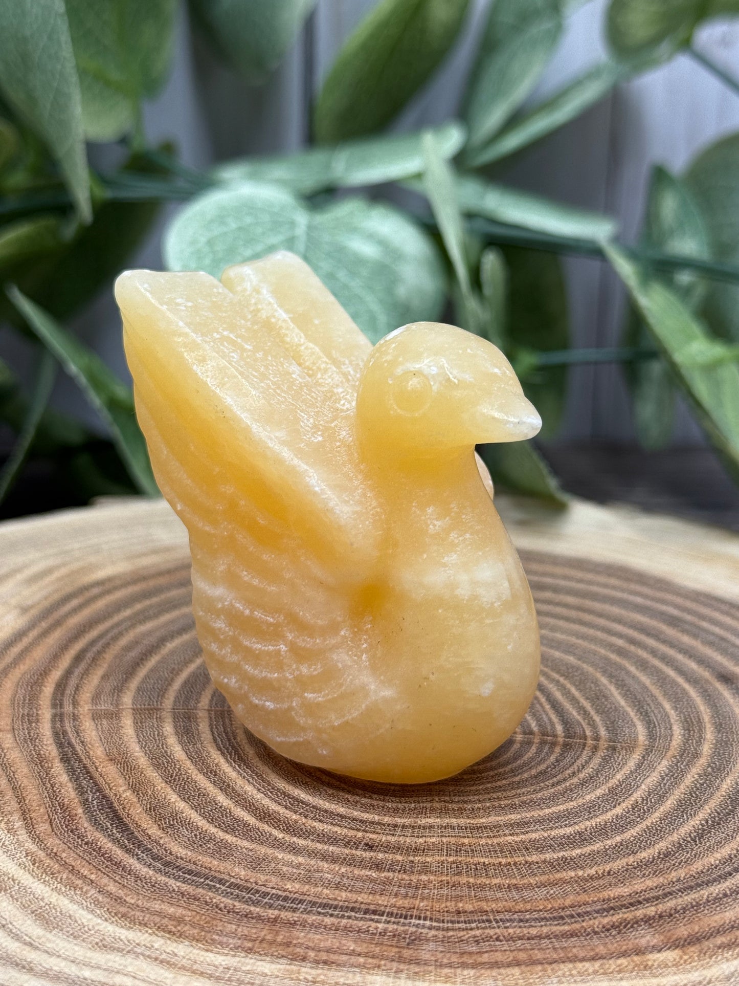 Swan Bird Carvings