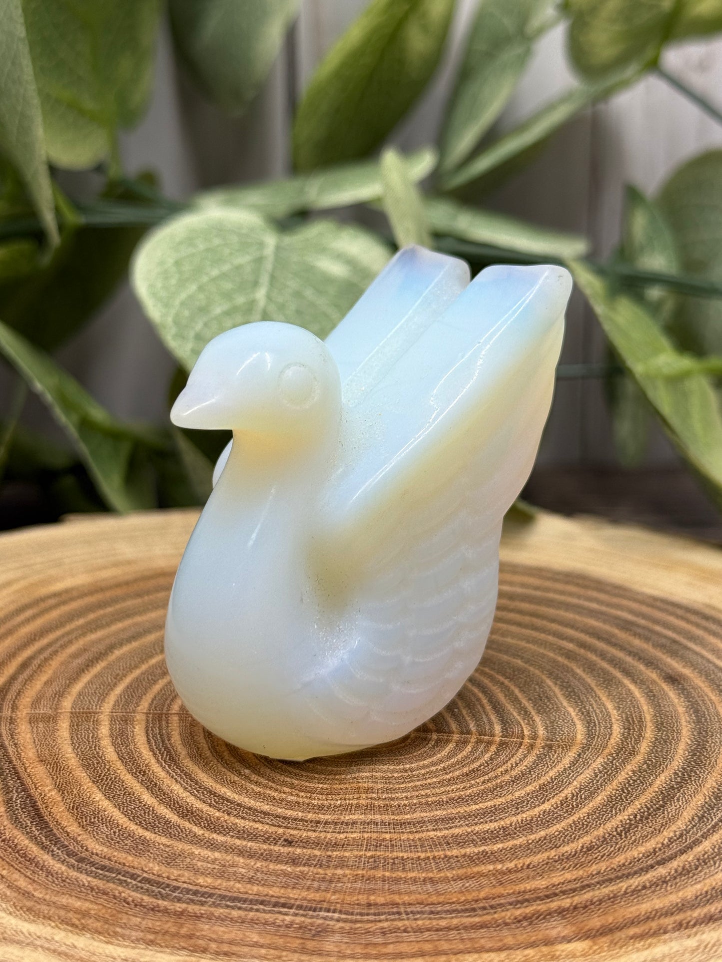 Swan Bird Carvings