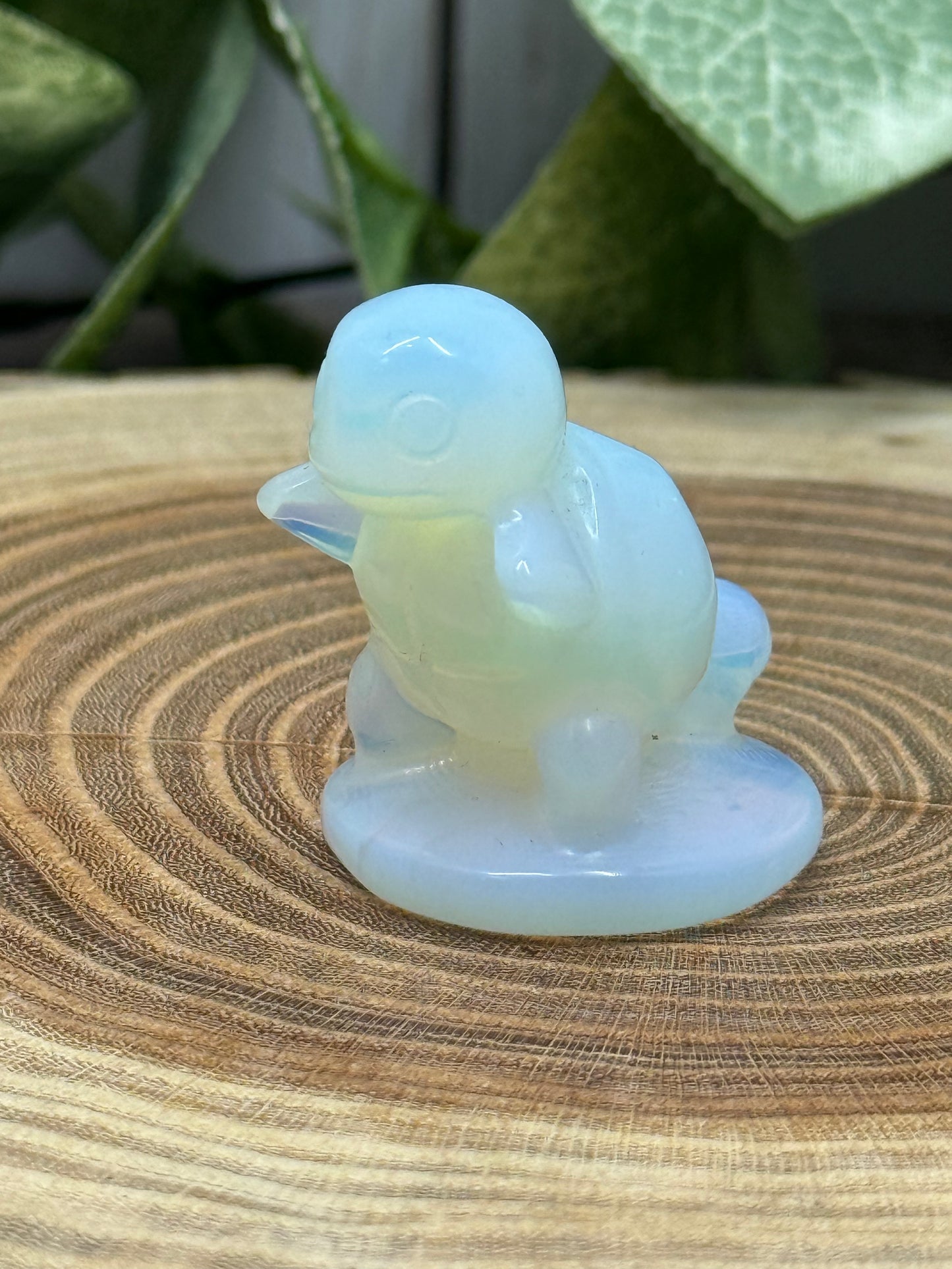 Squirtle Carving - Pokemon