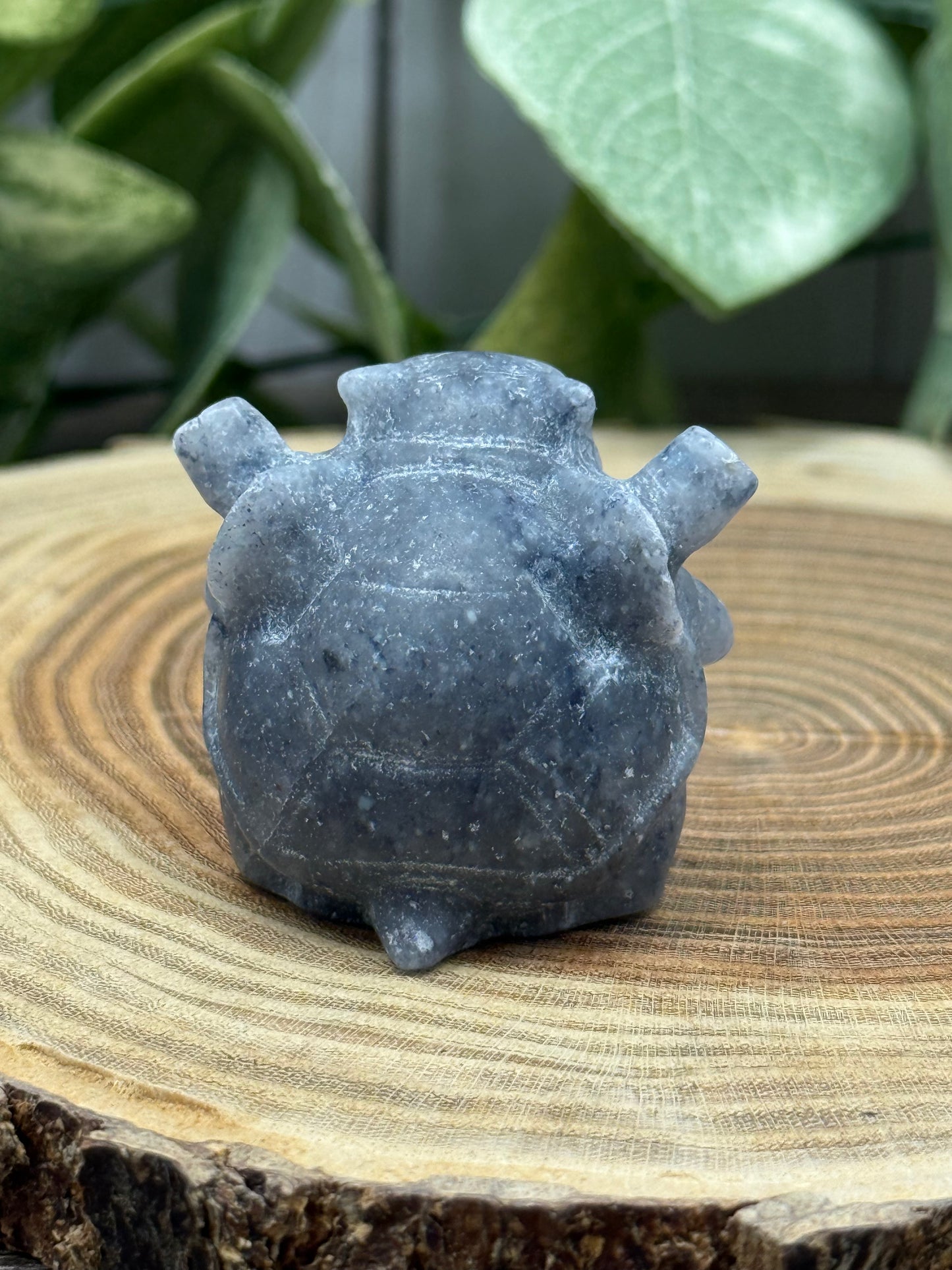 Blastoise Pokemon Carving - Blue Aventurine