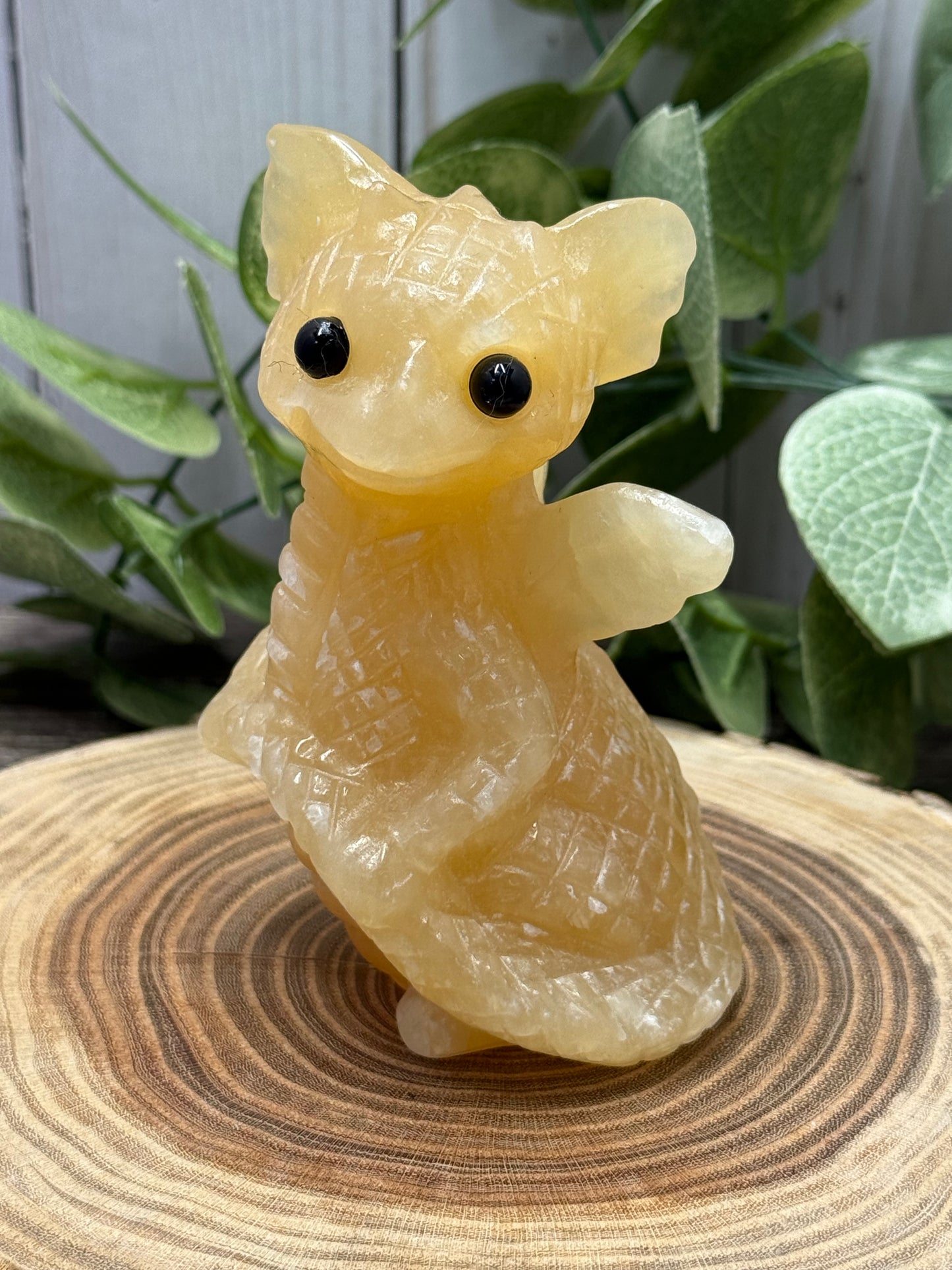 Baby Dragon - Large
