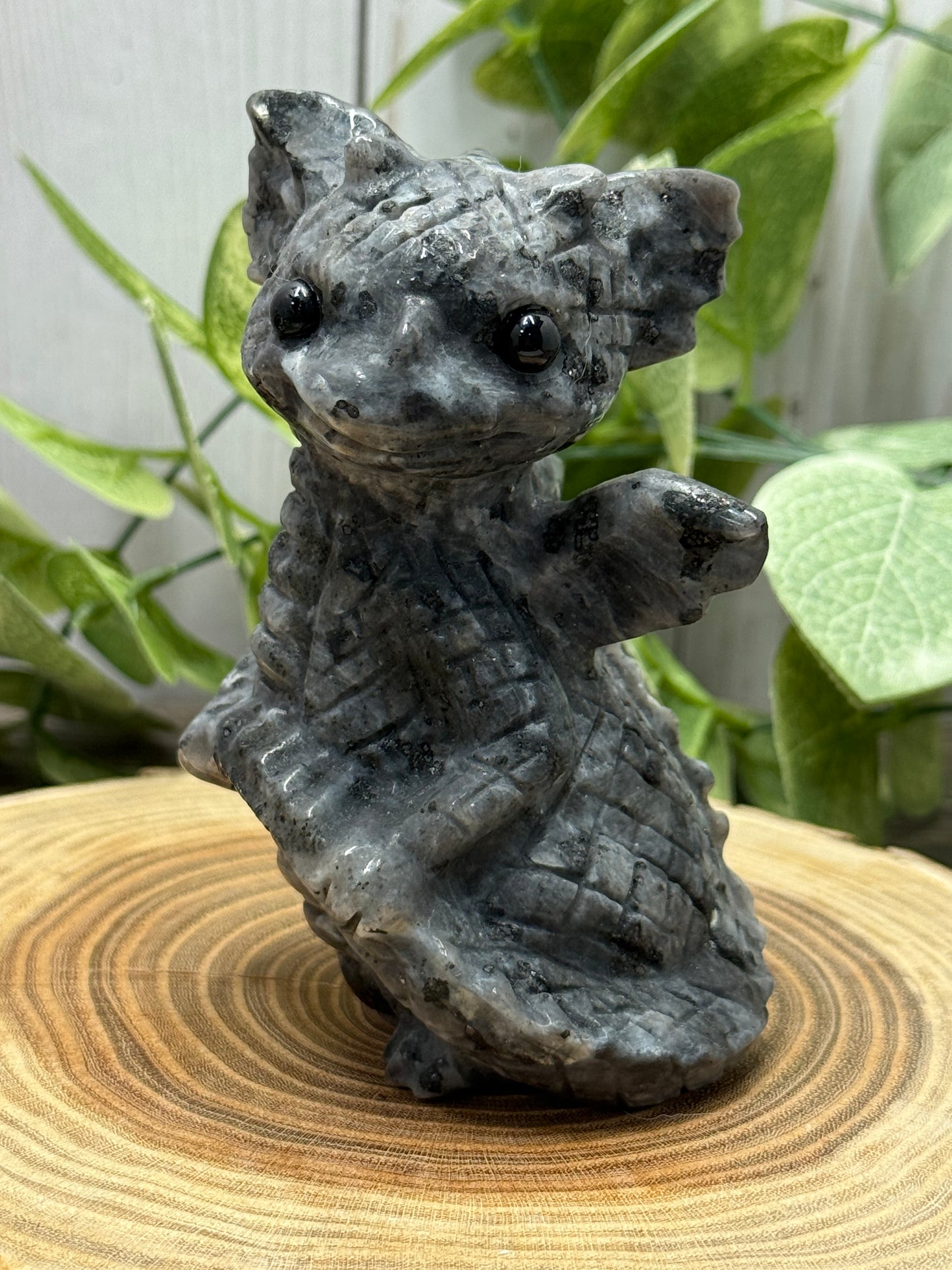 Baby Dragon - Large