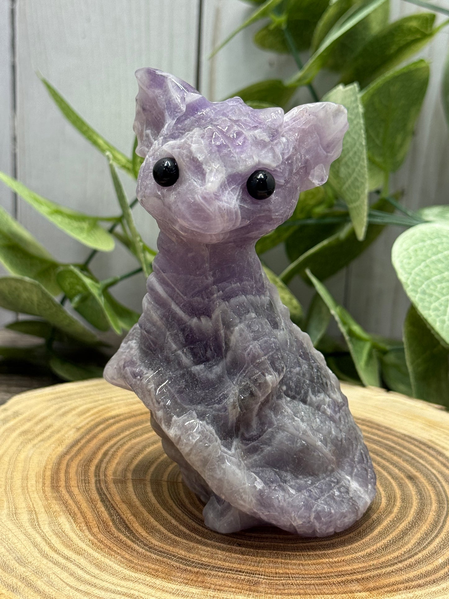 Baby Dragon - Large