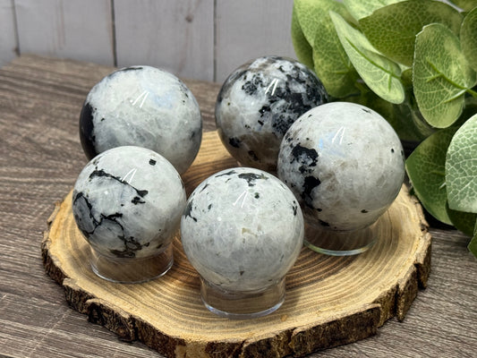 Rainbow Moonstone Spheres