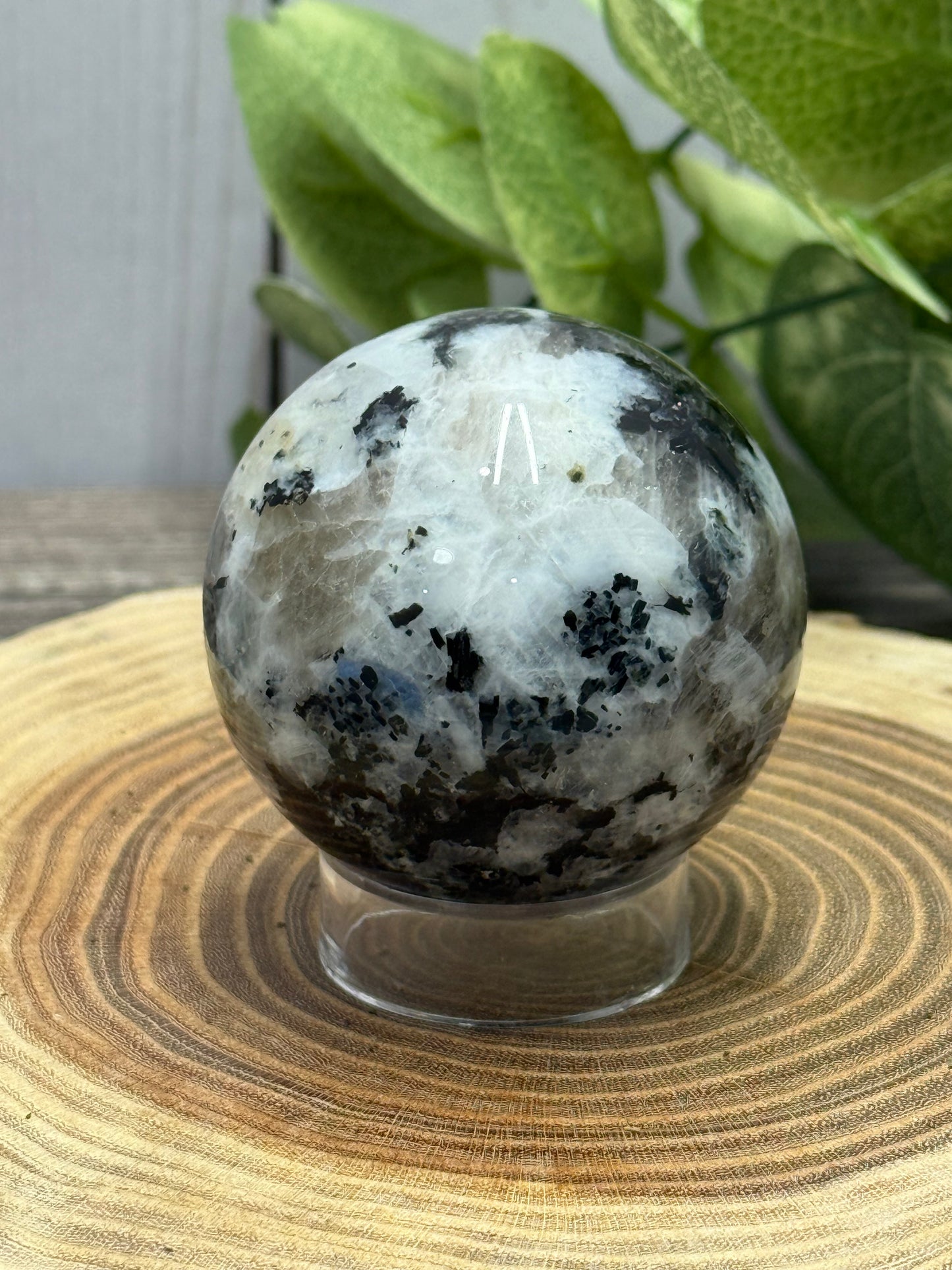 Rainbow Moonstone Spheres