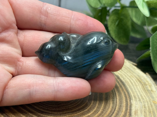 MISFIT Labadorite Dolphin Carving - chipped