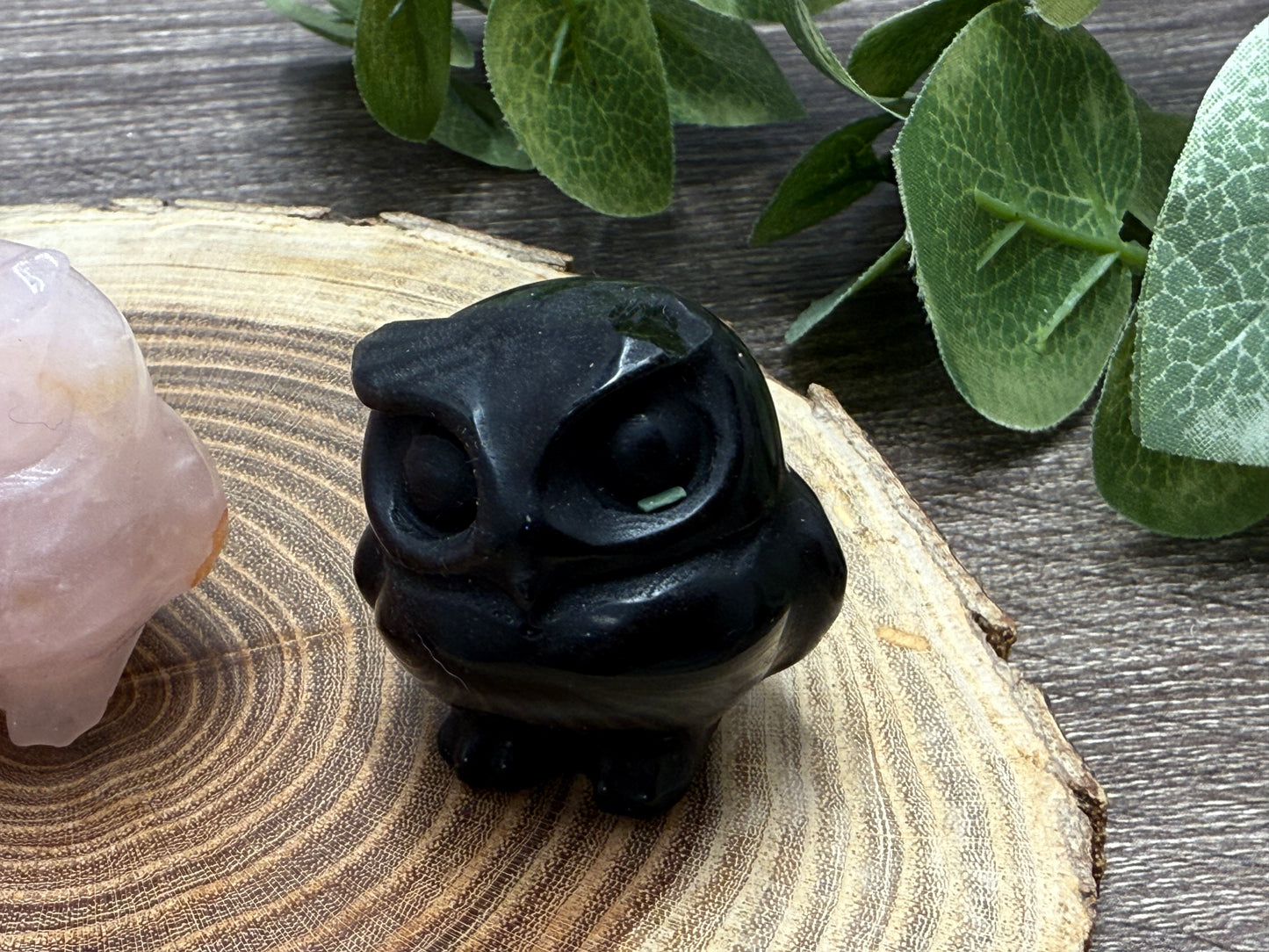 Misfit Owls - chipped horns