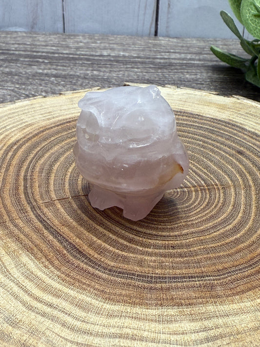 Misfit Owls - chipped horns