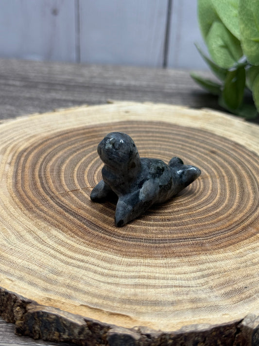 Misfit Larvakite Seal - broken foot