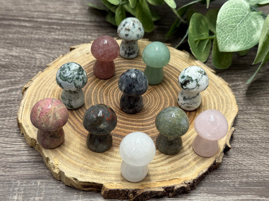 Crystal Medium Mushrooms