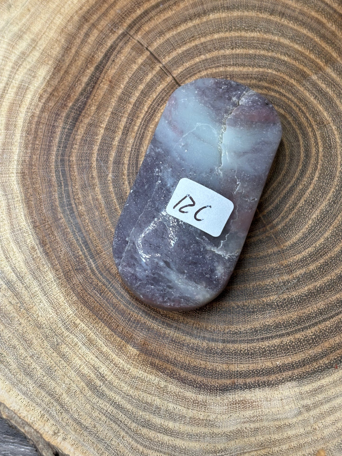 Unicorn Stone Palm Stone
