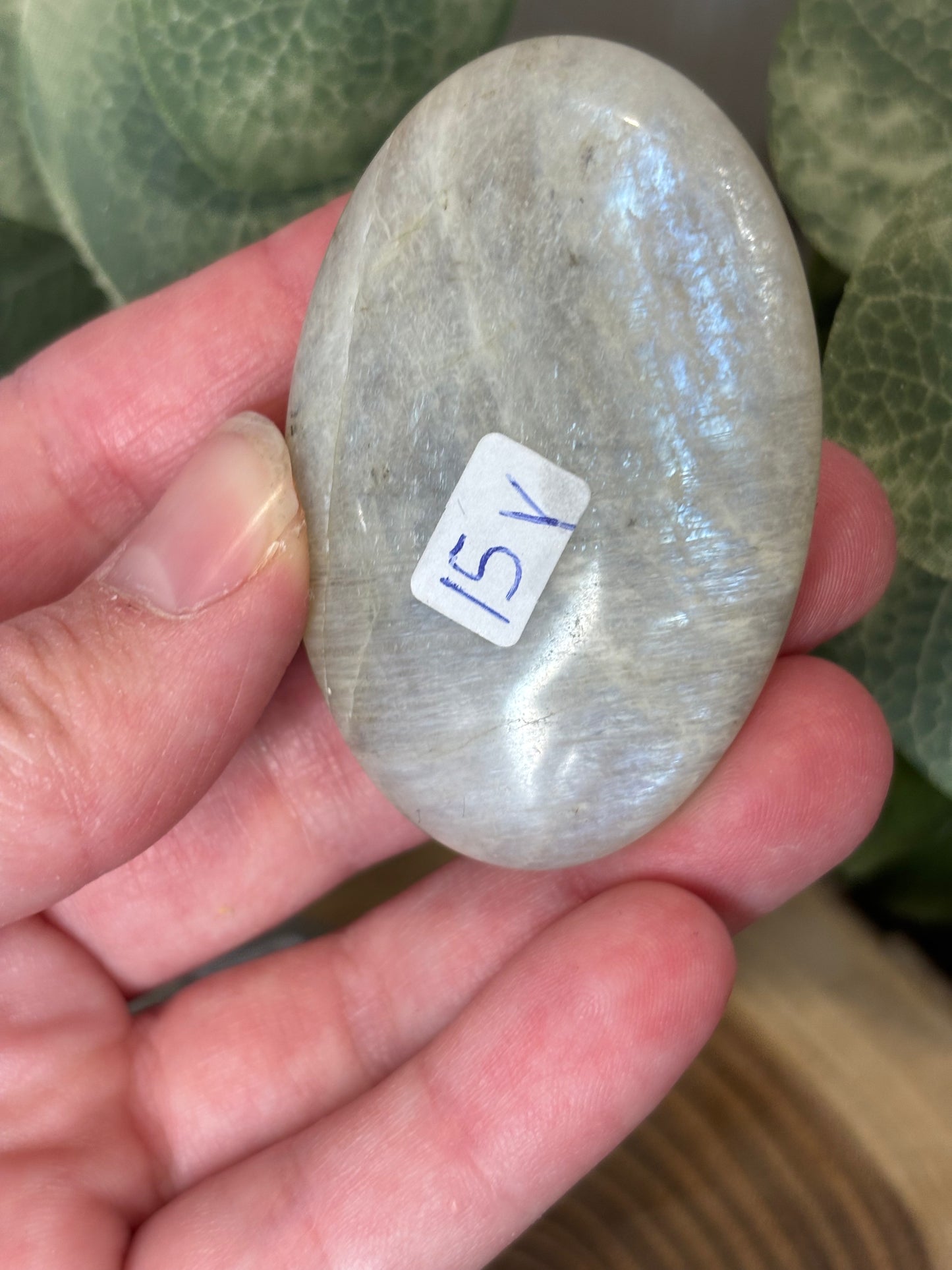 Grey Moonstone Palm Stone