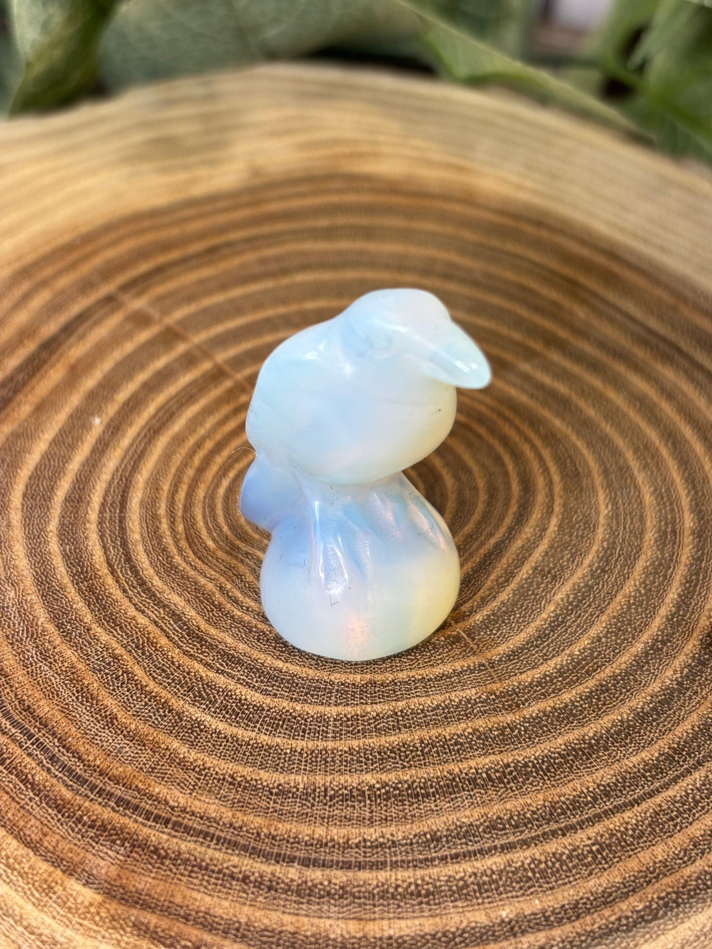 Bird Carving