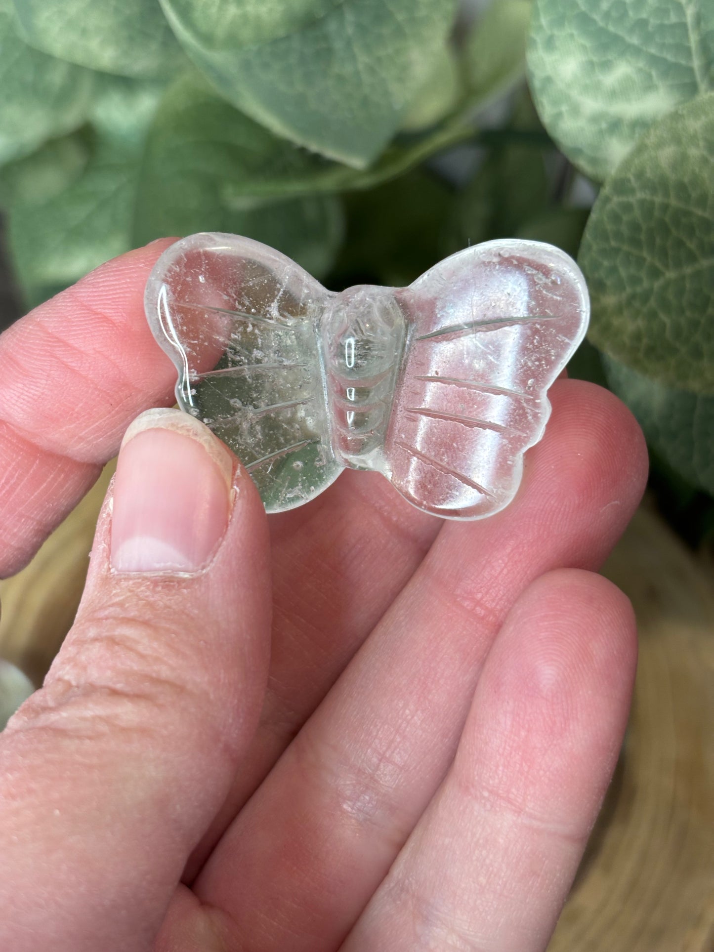 Butterfly Carvings