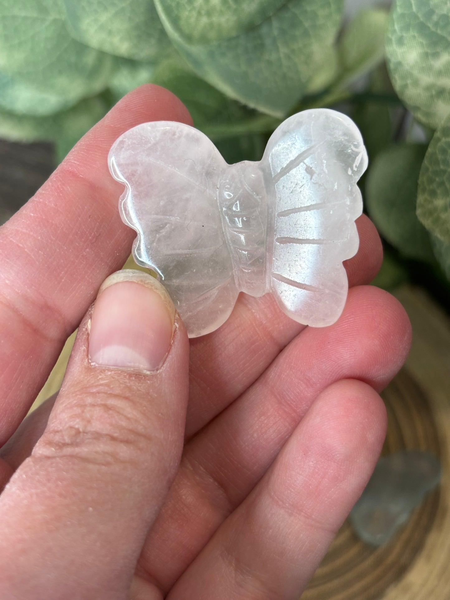 Butterfly Carvings