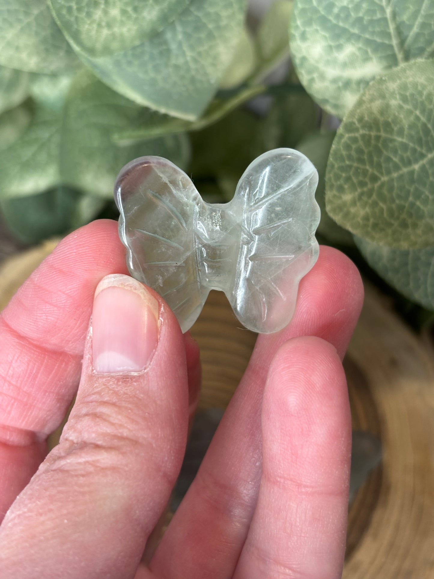 Butterfly Carvings