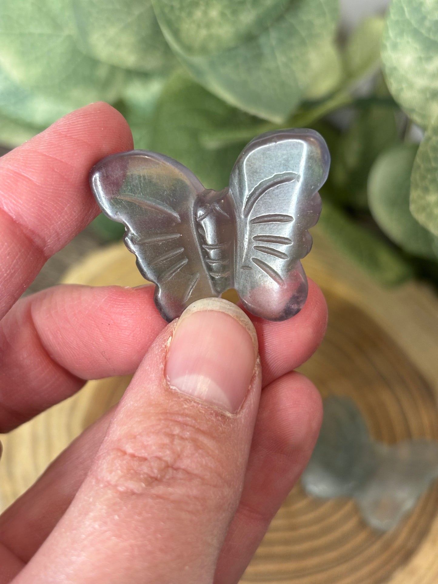 Butterfly Carvings