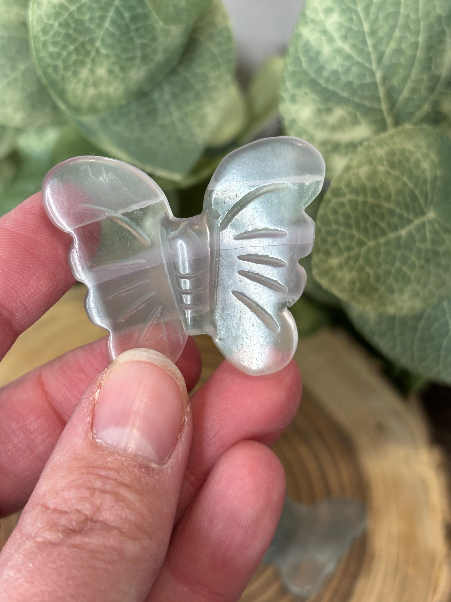 Butterfly Carvings