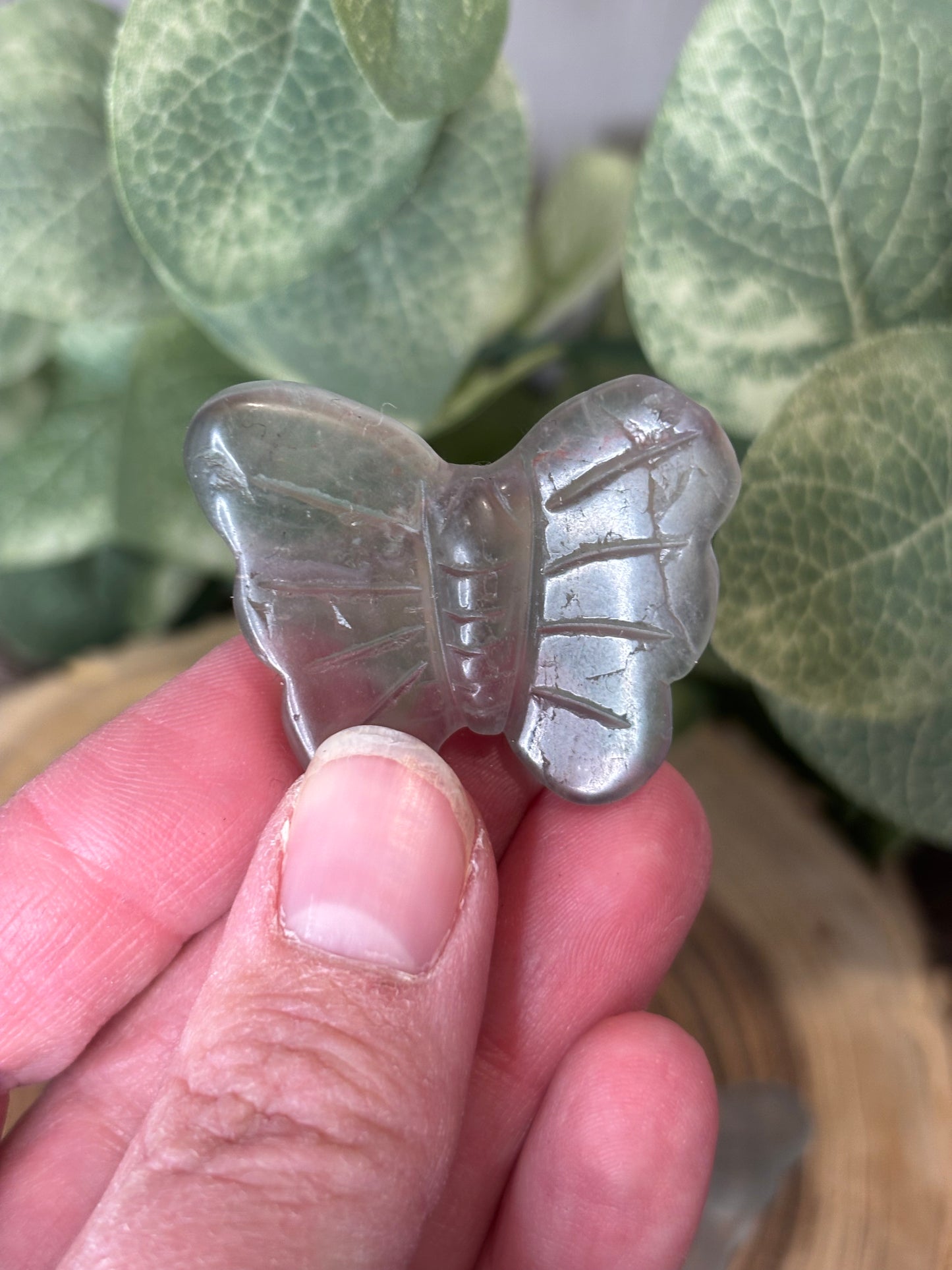 Butterfly Carvings