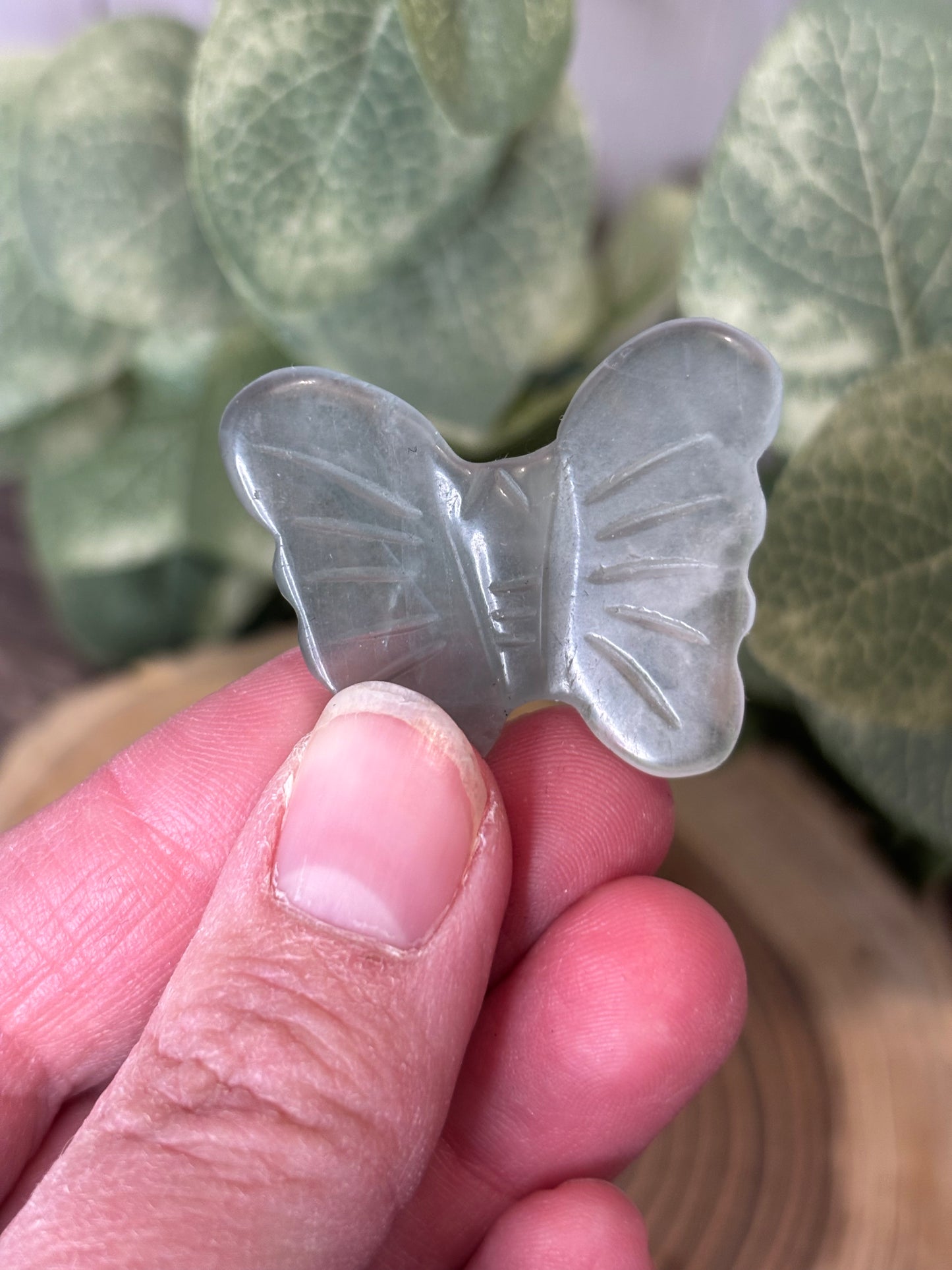 Butterfly Carvings